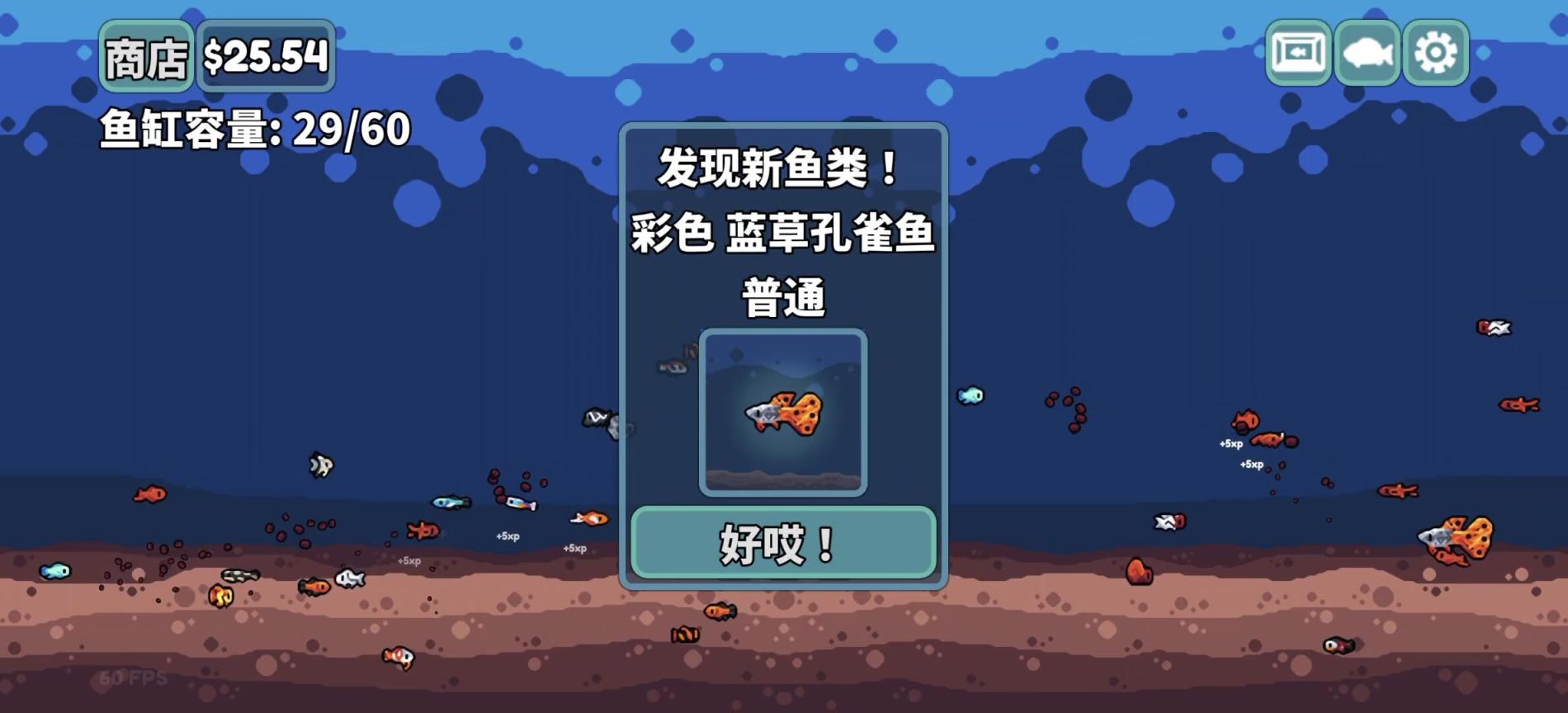 《轻松水族馆手游v1.1.1中文版下载：Steam治愈神作移植，无限金币+全156种鱼收集！》_Spload速载资源_全球单机游戏免费下载